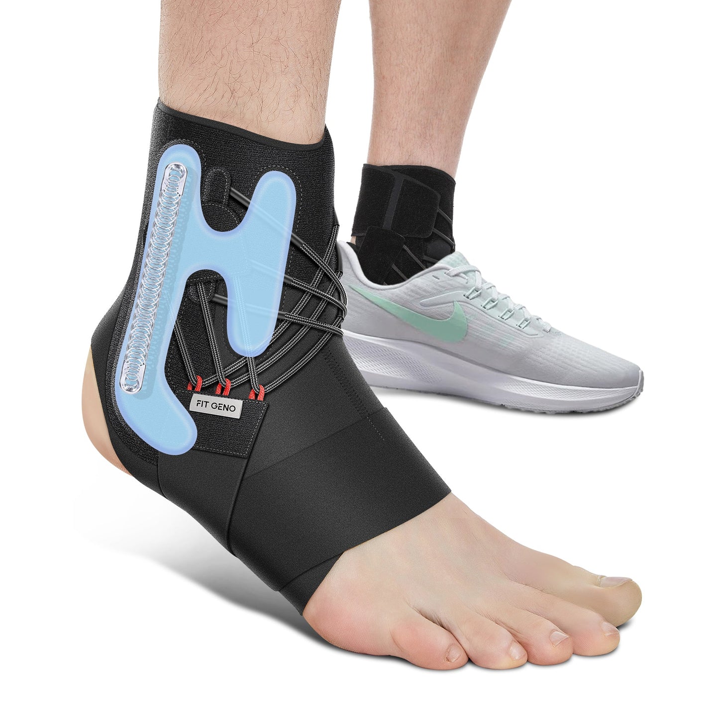 Ankle Brace