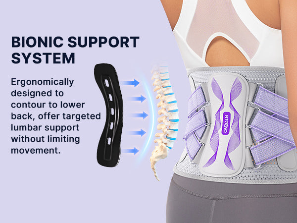 lumbar-purple A+ 4